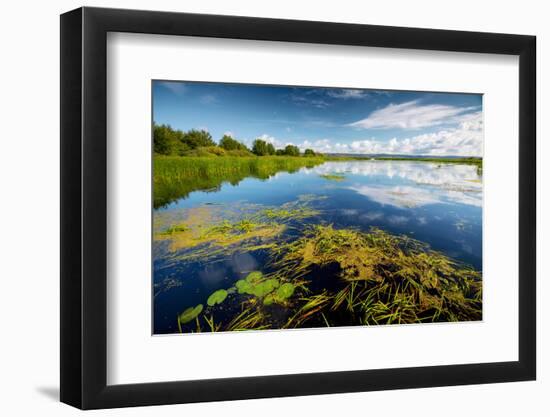 Pond with Water Lilies and Grass at Sunny Summer Day-Dudarev Mikhail-Framed Photographic Print