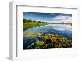 Pond with Water Lilies and Grass at Sunny Summer Day-Dudarev Mikhail-Framed Photographic Print