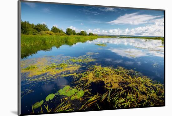 Pond with Water Lilies and Grass at Sunny Summer Day-Dudarev Mikhail-Mounted Photographic Print