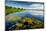 Pond with Water Lilies and Grass at Sunny Summer Day-Dudarev Mikhail-Mounted Photographic Print