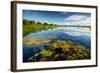 Pond with Water Lilies and Grass at Sunny Summer Day-Dudarev Mikhail-Framed Photographic Print