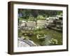 Pond with Waterfall-null-Framed Photographic Print