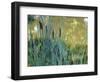 Pond-Anna Miller-Framed Photographic Print