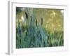 Pond-Anna Miller-Framed Photographic Print