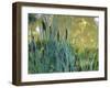 Pond-Anna Miller-Framed Photographic Print