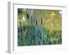 Pond-Anna Miller-Framed Photographic Print