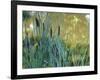 Pond-Anna Miller-Framed Photographic Print