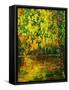 Pond-Pol Ledent-Framed Stretched Canvas