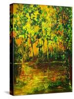 Pond-Pol Ledent-Stretched Canvas