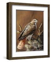 Ponderosa Hunter-Trevor V. Swanson-Framed Giclee Print