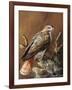 Ponderosa Hunter-Trevor V. Swanson-Framed Giclee Print