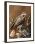 Ponderosa Hunter-Trevor V. Swanson-Framed Giclee Print