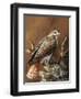 Ponderosa Hunter-Trevor V. Swanson-Framed Premium Giclee Print