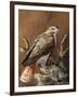 Ponderosa Hunter-Trevor V. Swanson-Framed Giclee Print