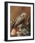 Ponderosa Hunter-Trevor V. Swanson-Framed Giclee Print