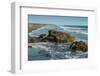 Poneloya Beach, a Popular Little Pacific Coast Surf Resort, West of the Northern City of Leon-Rob Francis-Framed Photographic Print