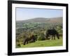 Ponies Grazing on Dartmoor, Dartmoor National Park, Devon, England, United Kingdom, Europe-James Emmerson-Framed Photographic Print