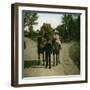 Ponies of the Jardin D'Acclimatation, Paris (XVIth Arrondissment), Circa 1890-1895-Leon, Levy et Fils-Framed Photographic Print