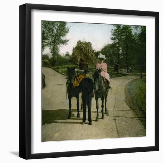 Ponies of the Jardin D'Acclimatation, Paris (XVIth Arrondissment), Circa 1890-1895-Leon, Levy et Fils-Framed Photographic Print