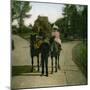Ponies of the Jardin D'Acclimatation, Paris (XVIth Arrondissment), Circa 1890-1895-Leon, Levy et Fils-Mounted Photographic Print
