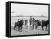 Ponies on the Beach, Atlantic City, N.J.-null-Framed Stretched Canvas