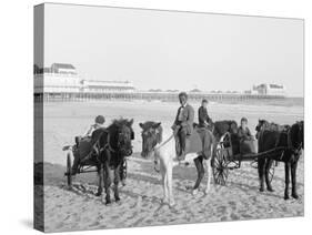 Ponies on the Beach, Atlantic City, N.J.-null-Stretched Canvas