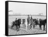 Ponies on the Beach, Atlantic City, N.J.-null-Framed Stretched Canvas