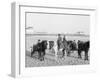 Ponies on the Beach, Atlantic City, N.J.-null-Framed Photo