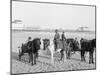 Ponies on the Beach, Atlantic City, N.J.-null-Mounted Photo
