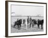 Ponies on the Beach, Atlantic City, N.J.-null-Framed Photo