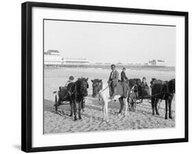 Ponies on the Beach, Atlantic City, N.J.-null-Framed Photo