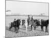 Ponies on the Beach, Atlantic City, N.J.-null-Mounted Photo