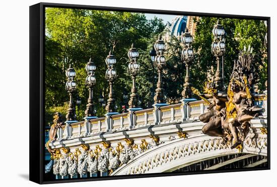 Pont Alexandre III  Alexander the Third Bridge in the City of Paris in France-OSTILL-Framed Stretched Canvas