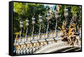 Pont Alexandre III  Alexander the Third Bridge in the City of Paris in France-OSTILL-Framed Stretched Canvas