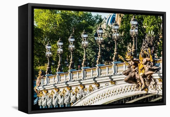 Pont Alexandre III  Alexander the Third Bridge in the City of Paris in France-OSTILL-Framed Stretched Canvas