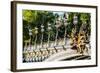 Pont Alexandre III  Alexander the Third Bridge in the City of Paris in France-OSTILL-Framed Photographic Print