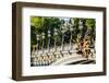 Pont Alexandre III  Alexander the Third Bridge in the City of Paris in France-OSTILL-Framed Photographic Print