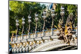 Pont Alexandre III  Alexander the Third Bridge in the City of Paris in France-OSTILL-Mounted Photographic Print