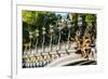 Pont Alexandre III  Alexander the Third Bridge in the City of Paris in France-OSTILL-Framed Photographic Print