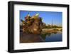 Pont Alexandre Iii, with Eiffel Tower, Paris, France, Europe-Neil Farrin-Framed Photographic Print