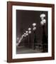 Pont Alexandre III-Matthew Fuller-Framed Art Print