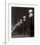 Pont Alexandre III-Matthew Fuller-Framed Art Print