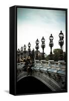 Pont Alexandre III-Erin Berzel-Framed Stretched Canvas