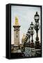 Pont Alexandre IV-Erin Berzel-Framed Stretched Canvas