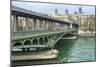 Pont de Bir Hakeim And Seine-Cora Niele-Mounted Giclee Print