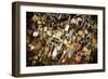 Pont des Arts II-Erin Berzel-Framed Photographic Print