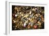 Pont des Arts II-Erin Berzel-Framed Photographic Print