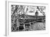 Pont des Arts - Institut de France - Paris - France-Philippe Hugonnard-Framed Photographic Print