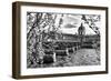 Pont des Arts - Institut de France - Paris - France-Philippe Hugonnard-Framed Photographic Print