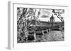 Pont des Arts - Institut de France - Paris - France-Philippe Hugonnard-Framed Photographic Print